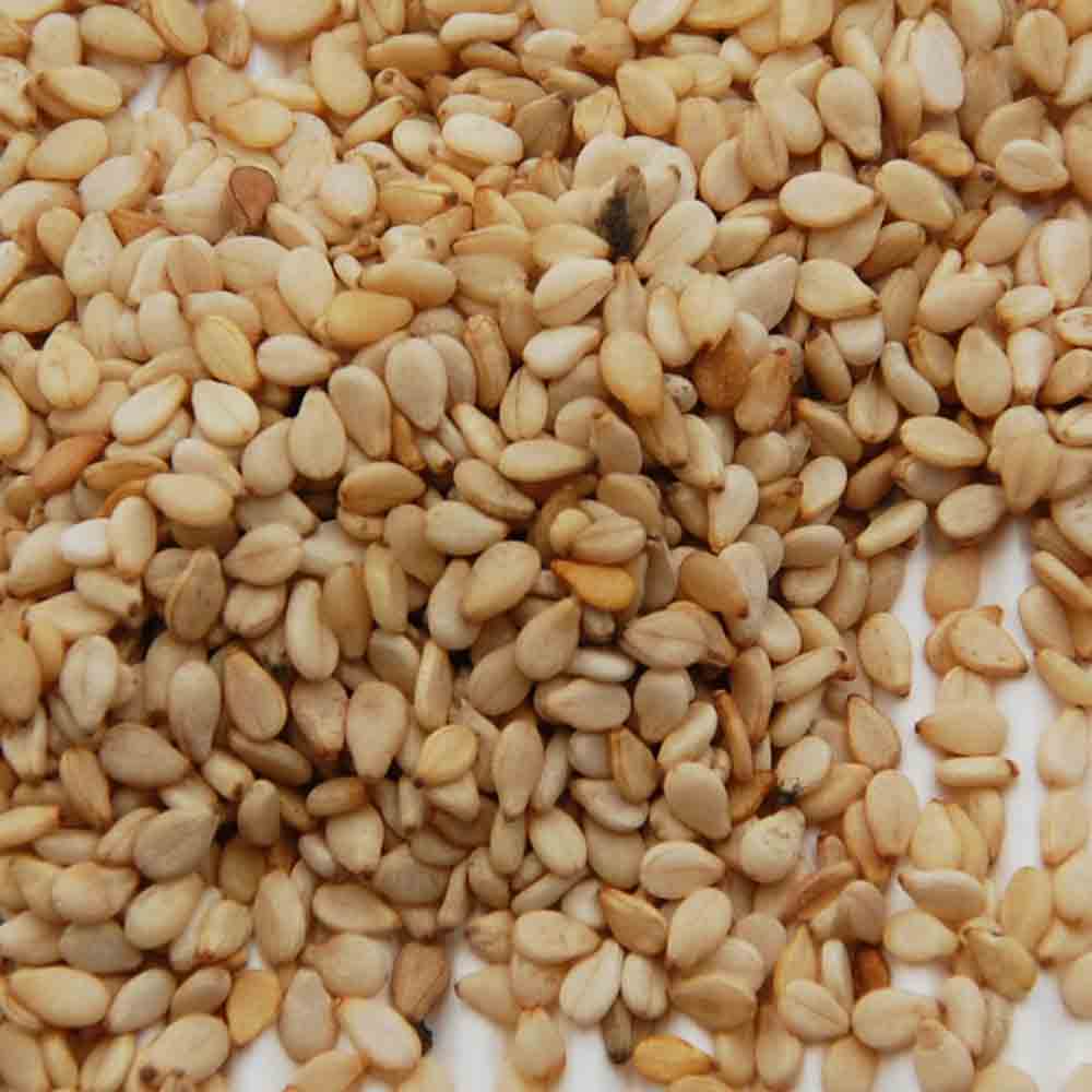 Graines De Sesame Bio, Graines Bio